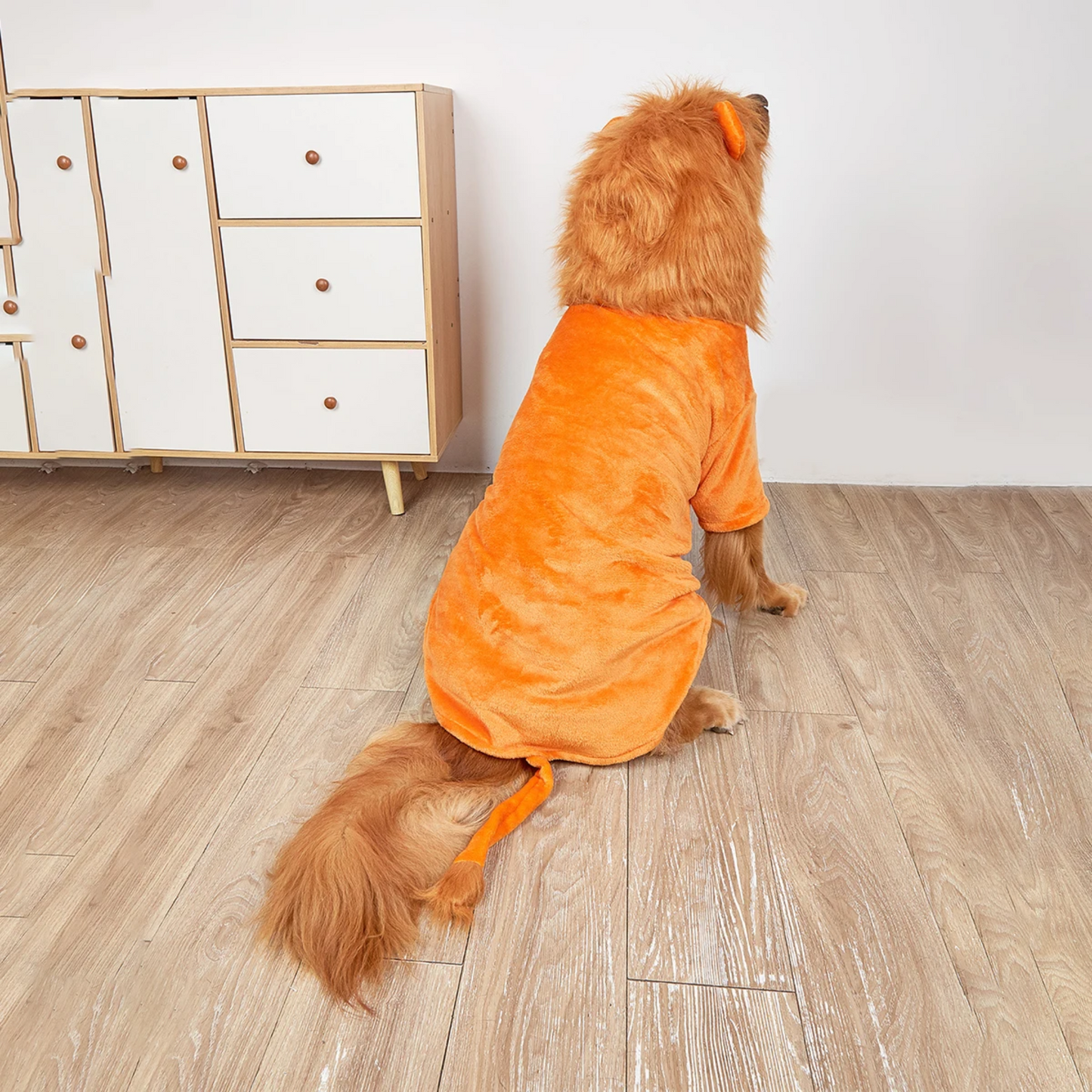 Oranje Boven Leeuwenpak voor Honden