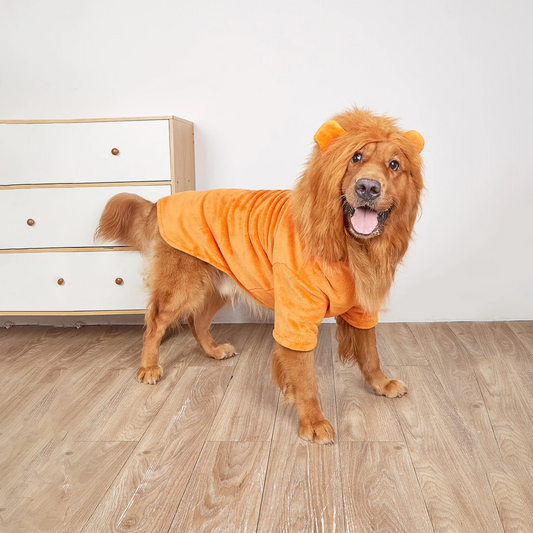 Oranje Boven Leeuwenpak voor Honden