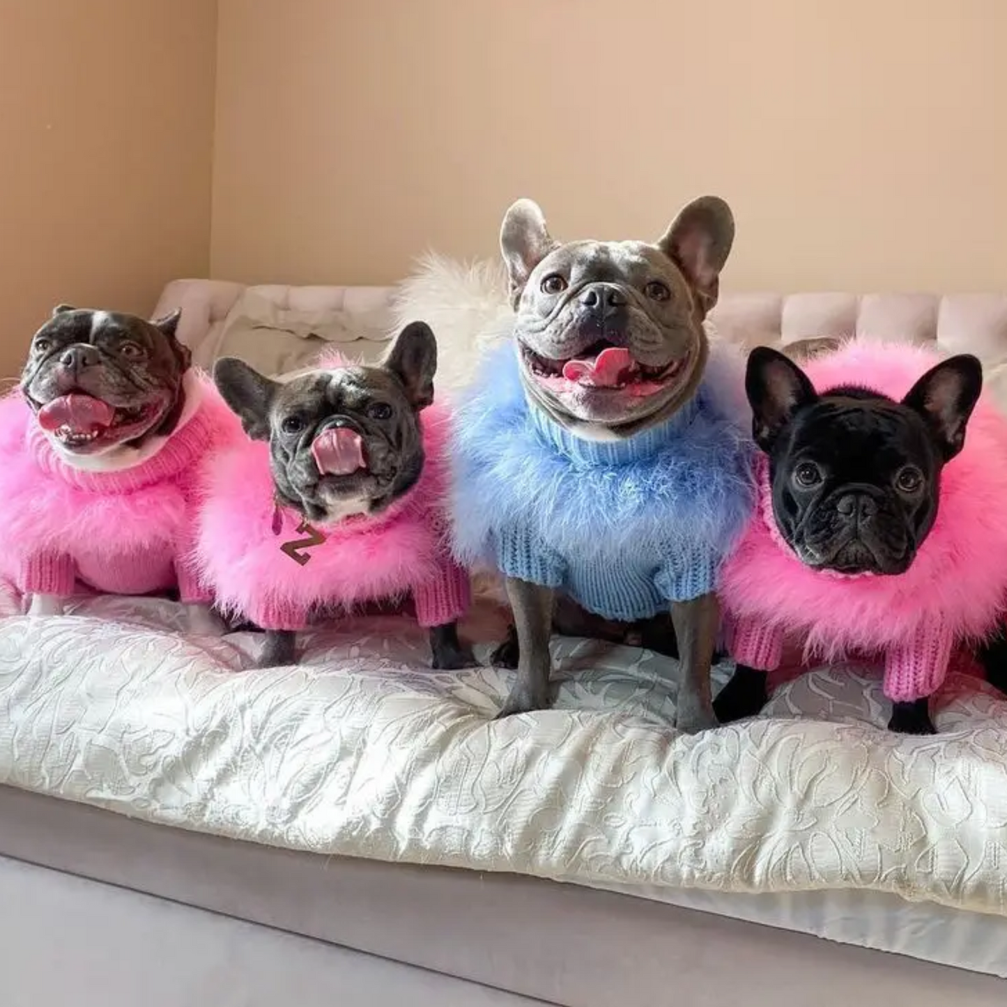 Decadente Fluffy Honden Outfit