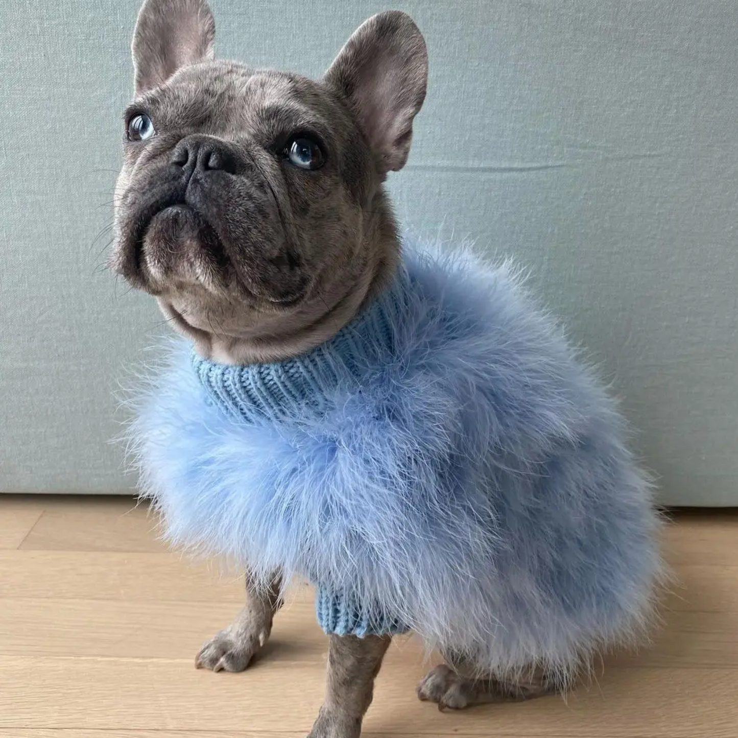 Decadente Fluffy Honden Outfit