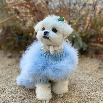 Decadente Fluffy Honden Outfit