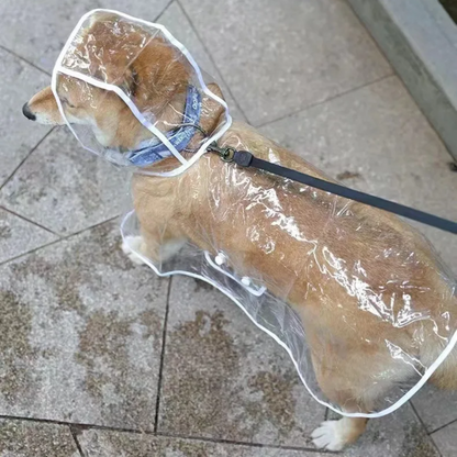 Honden Regenjas Doorzichtig