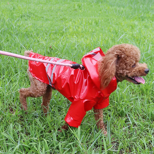 Honden Regenjas met Reflectoren