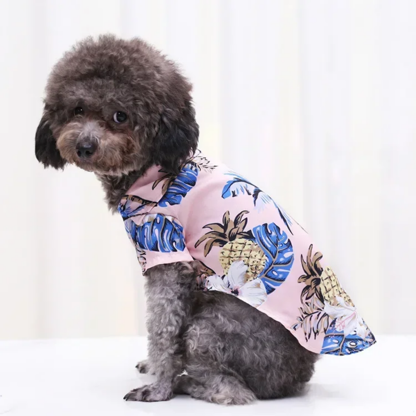 Hawaii Blouse voor Hond of Kat