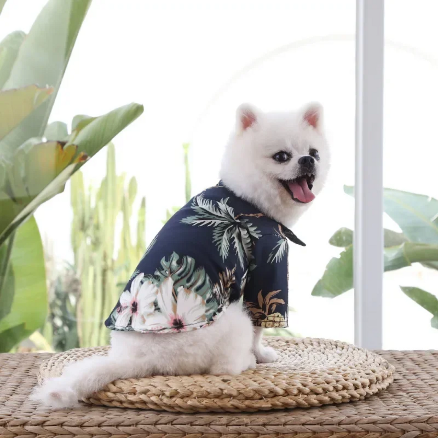 Hawaii Blouse voor Hond of Kat