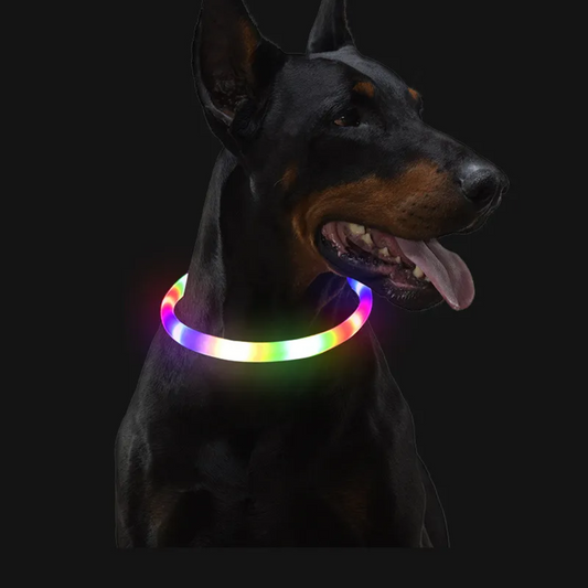 Honden Led Halsband